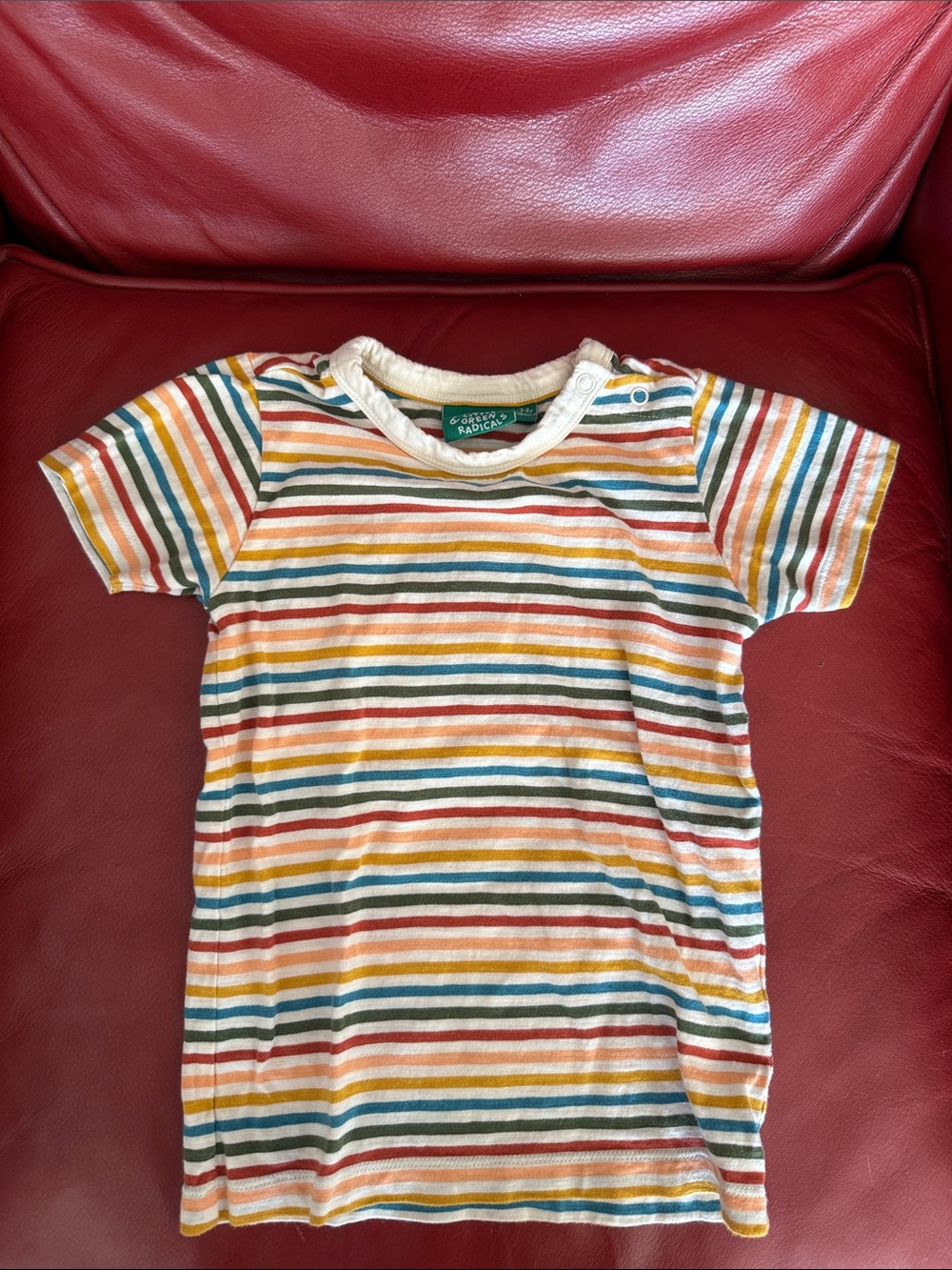 Little Green Radicals Striped Short Sleeve Kids Tee in Multicolor